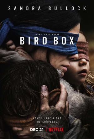 A ciegas (Bird Box) [2018][Mega][HD1080]